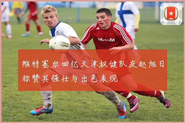 维特塞尔回忆天津权健队友赵旭日称赞其强壮与出色表现