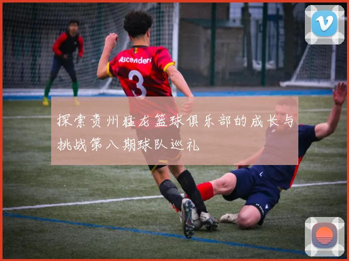 探索贵州猛龙篮球俱乐部的成长与挑战第八期球队巡礼